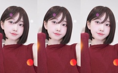 一本道理在线不卡免费